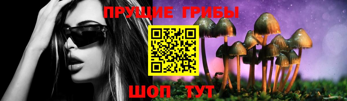 Галлюциногенные грибы Psilocybine cubensis Лабинск